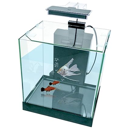 PENN-PLAX Cascade All-in-One Desktop Aquarium Kit Great for Small & Tight Spaces Marine & Freshwater Applications 3.2 Gallons