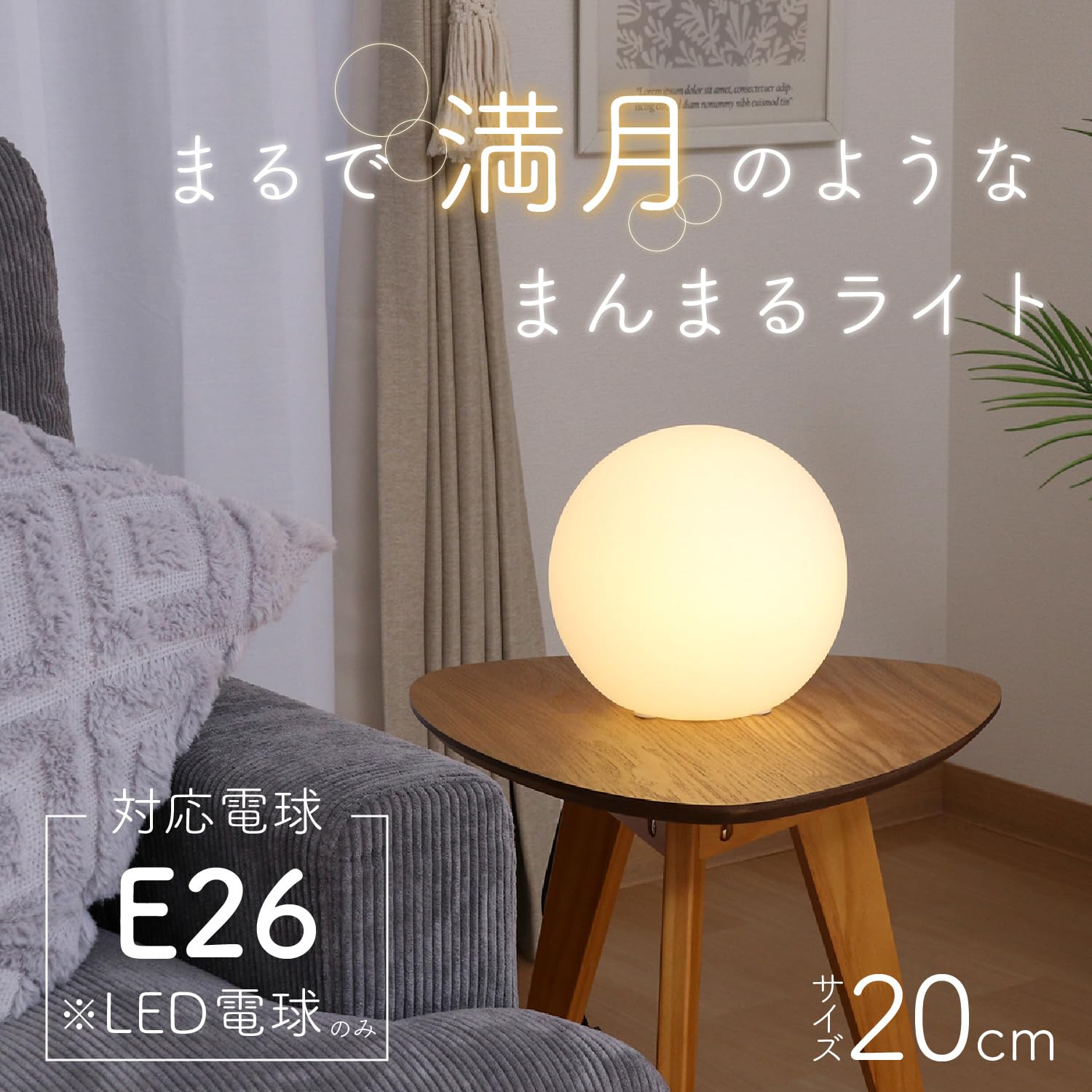 Amazon｜不二貿易(Fujiboeki) テーブルランプ フロアライト 幅20×奥行  