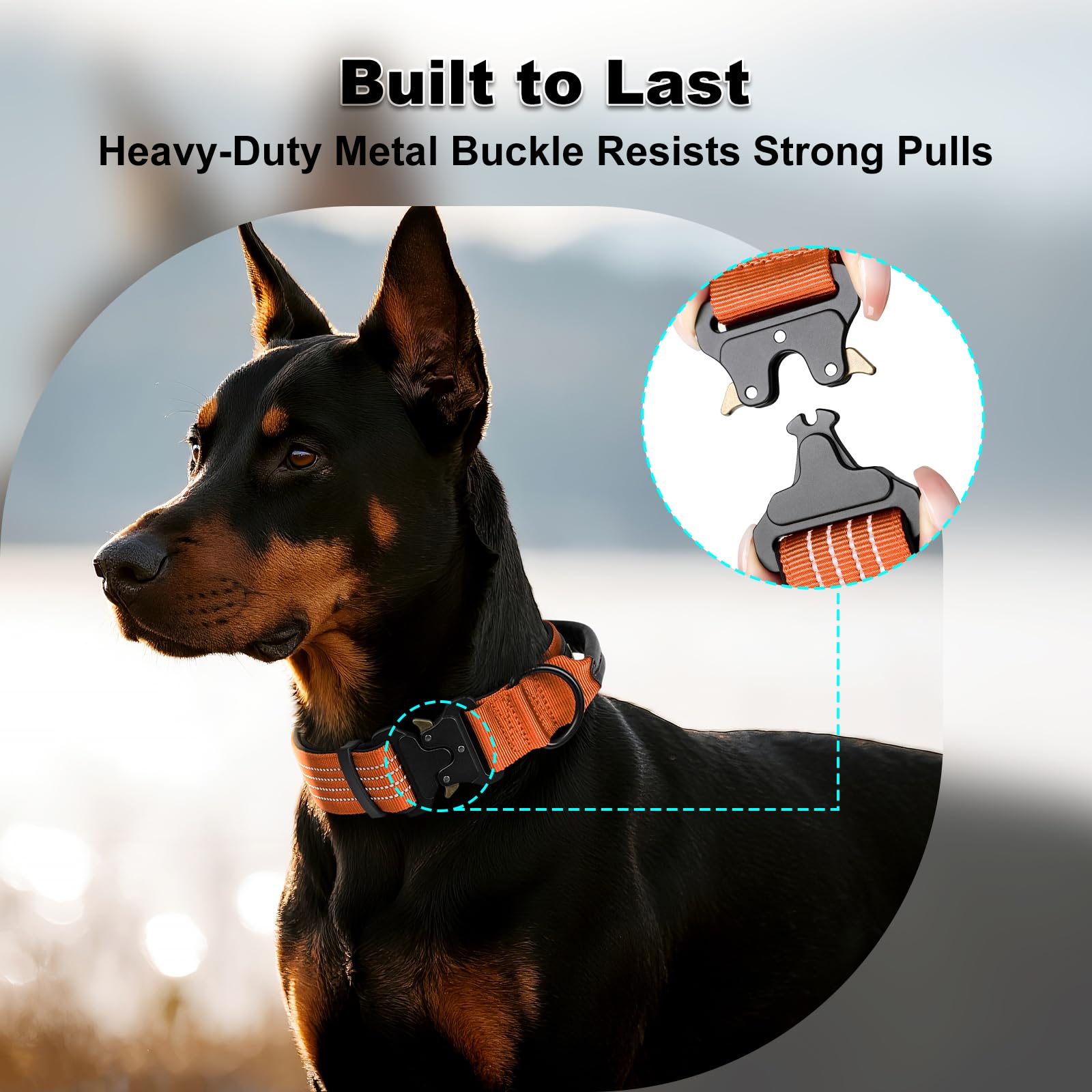 Plutus Pet Tactical Dog Collar with Tracker pocket for AirTag Adjustable Reflective Nylon Collar, Metal Buckle - Image 4