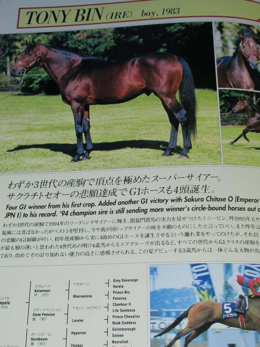 「社台スタリオンＳ種牡馬カタログ 2002年版 ウマ娘登場名馬多数掲載」 社台スタリオンS種牡馬カタログ 2002年版 ウマ娘登場名馬多数