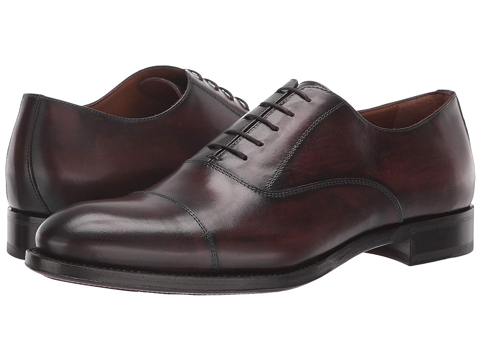 

Bruno Magli Tenucci (Dark Brown) Men's Shoes