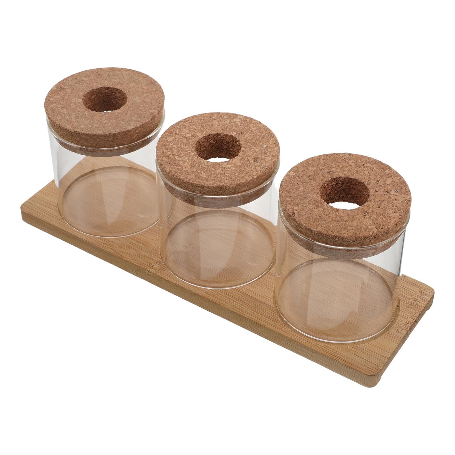 Jarrón Hidropónico de Vidrio 8x8 Cm con Tapa Perforada y Base Triple, Maceta Hidropónica para Suculentas y Plantas de Interior, Terrario Decorativo para Escritorio y Jardín
