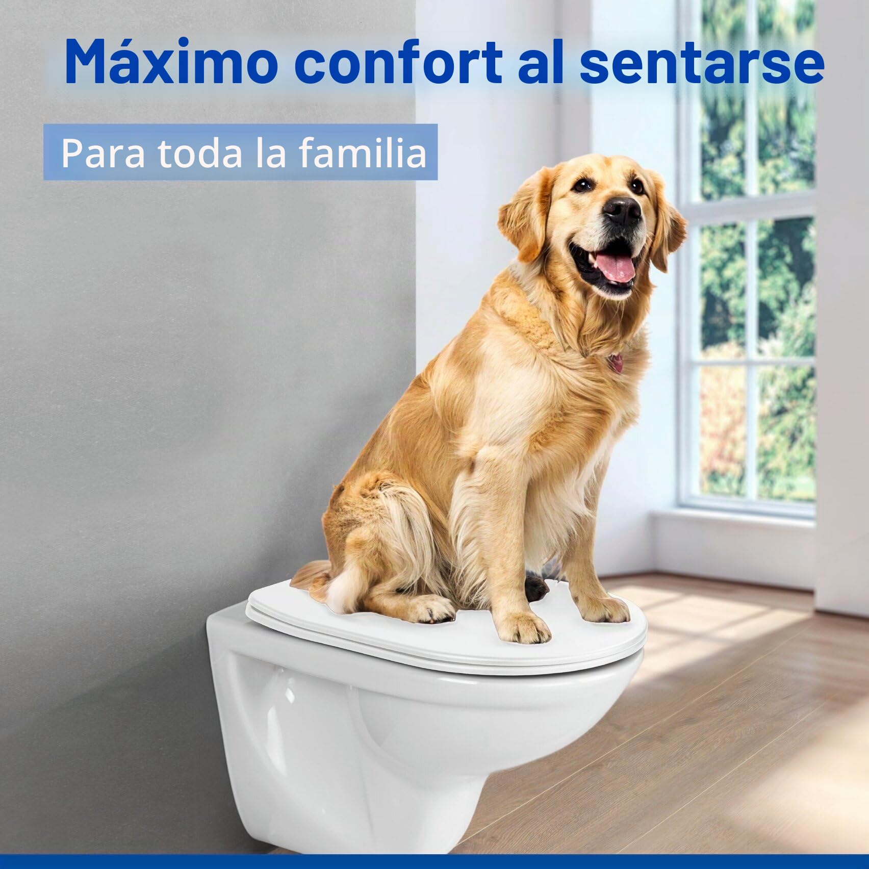 Asiento de inodoro Galati, asiento de inodoro plano en forma de D con mecanismo de cierre suave, de duroplast, fijación Fix-Clip, blanco mate