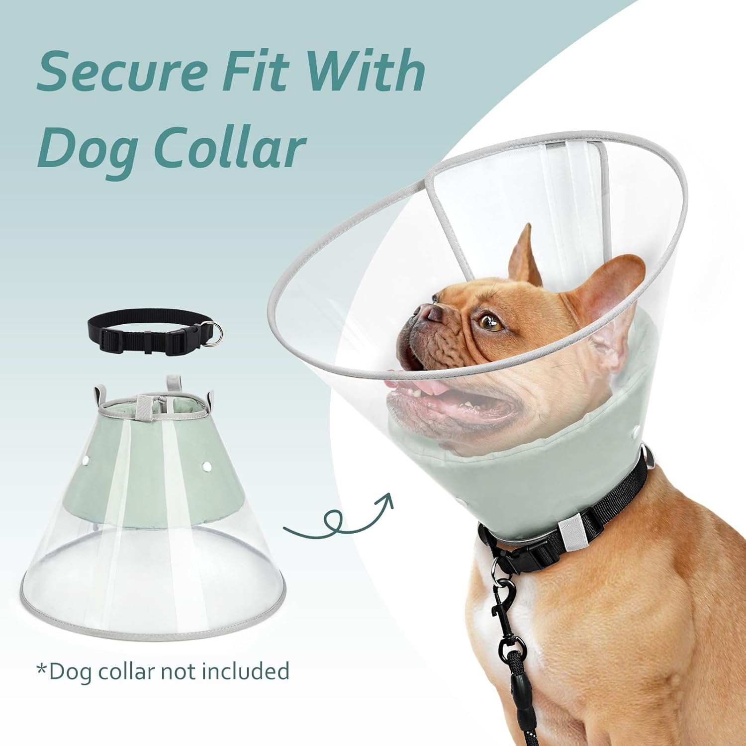 Dog Cone Collar with Snap-on Detachable Soft Liner, Lightweight Transparent Elizabethan Alternative to Stop Licking, for Spay Neuter Surgery Recovery, for Medium Large Small Dogs (Green,XL)
