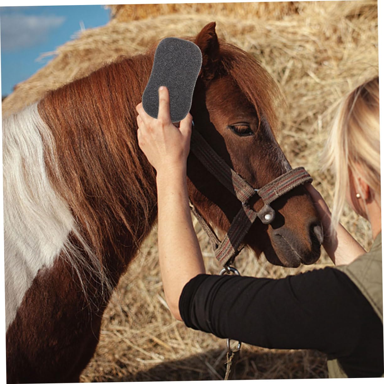 VANZACK Horse Cleaning Sponges 10 Pack Gentle on Skin for Horse Grooming Bathing Maintenance
