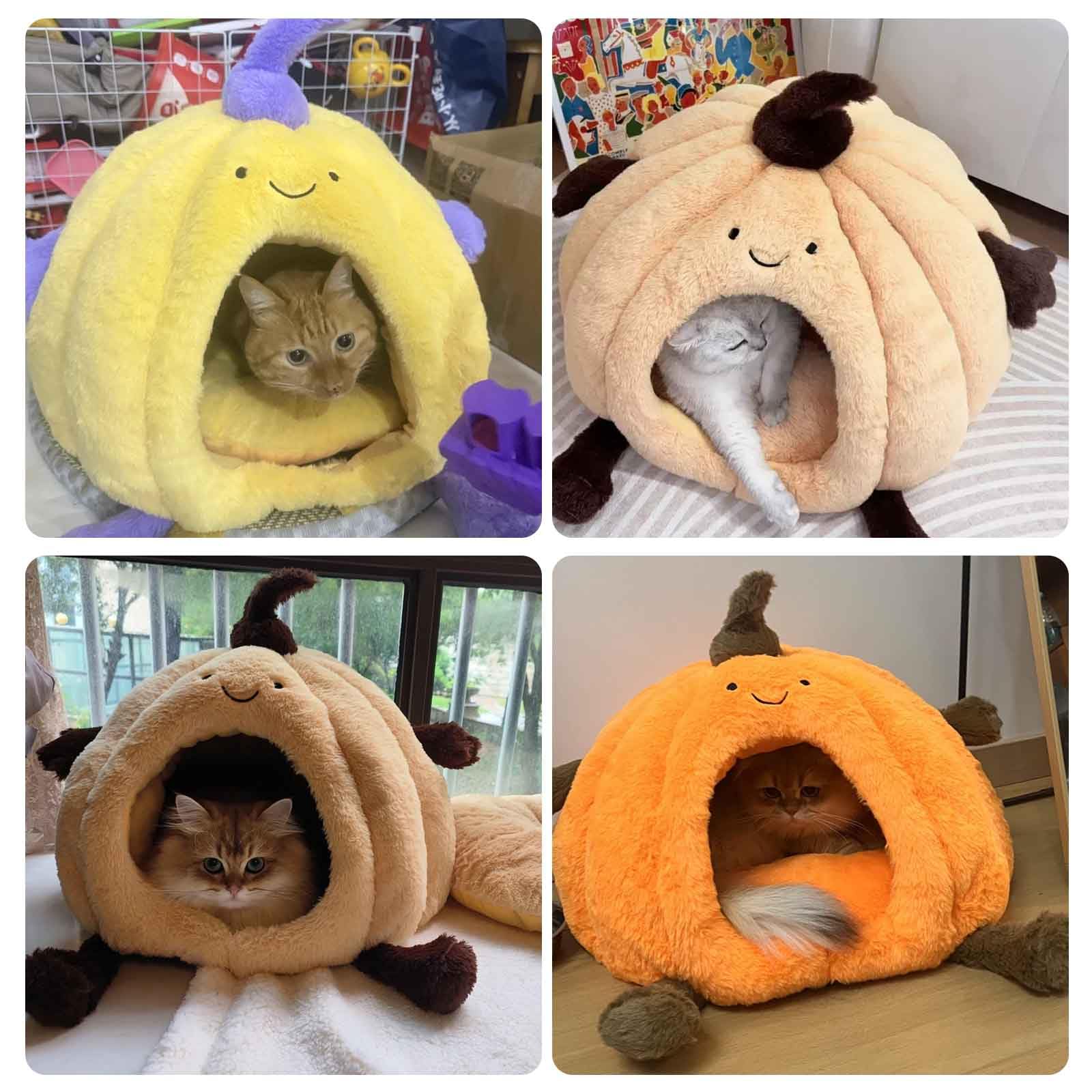 Cuccia per Gatti da Interno, Cuccia Gatto Chiusa, Casetta per Gatti con Cuscino Imbottito Rimovibile E Lavabile, per Gatti E Cani di Piccola Taglia,Giallo,S