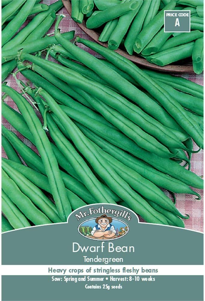 11238 Vegetable Seeds, Dwarf French Bean Tendergreen, Green