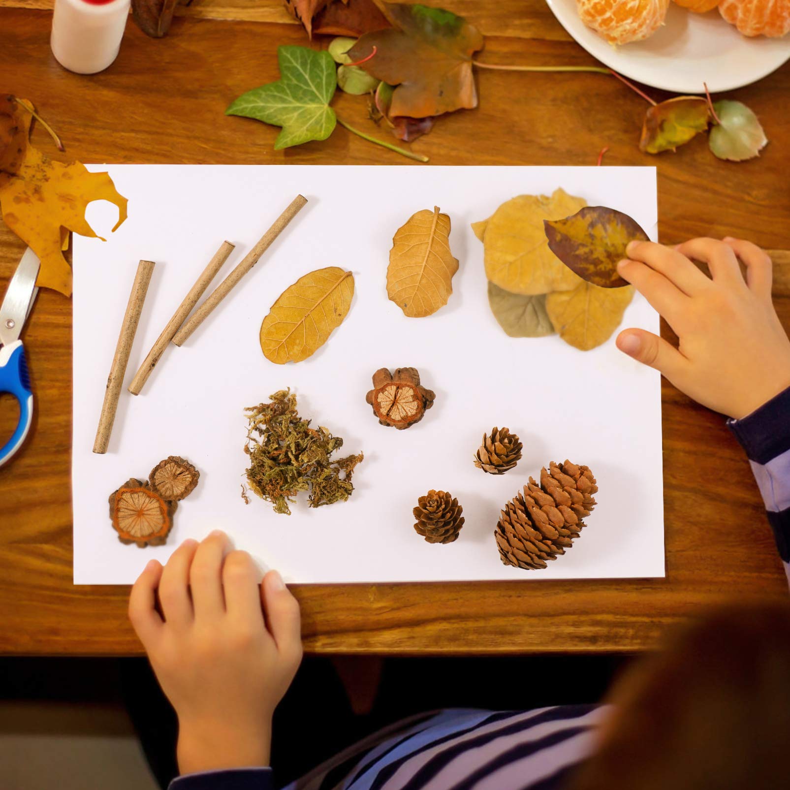Juego de piñas | Piñas y Hojas de otoño, bellotas Naturales, piñas de Pino, Ramas de Madera, Adornos de Hojas, decoración rústica, for Relleno de jarrones o Manualidades