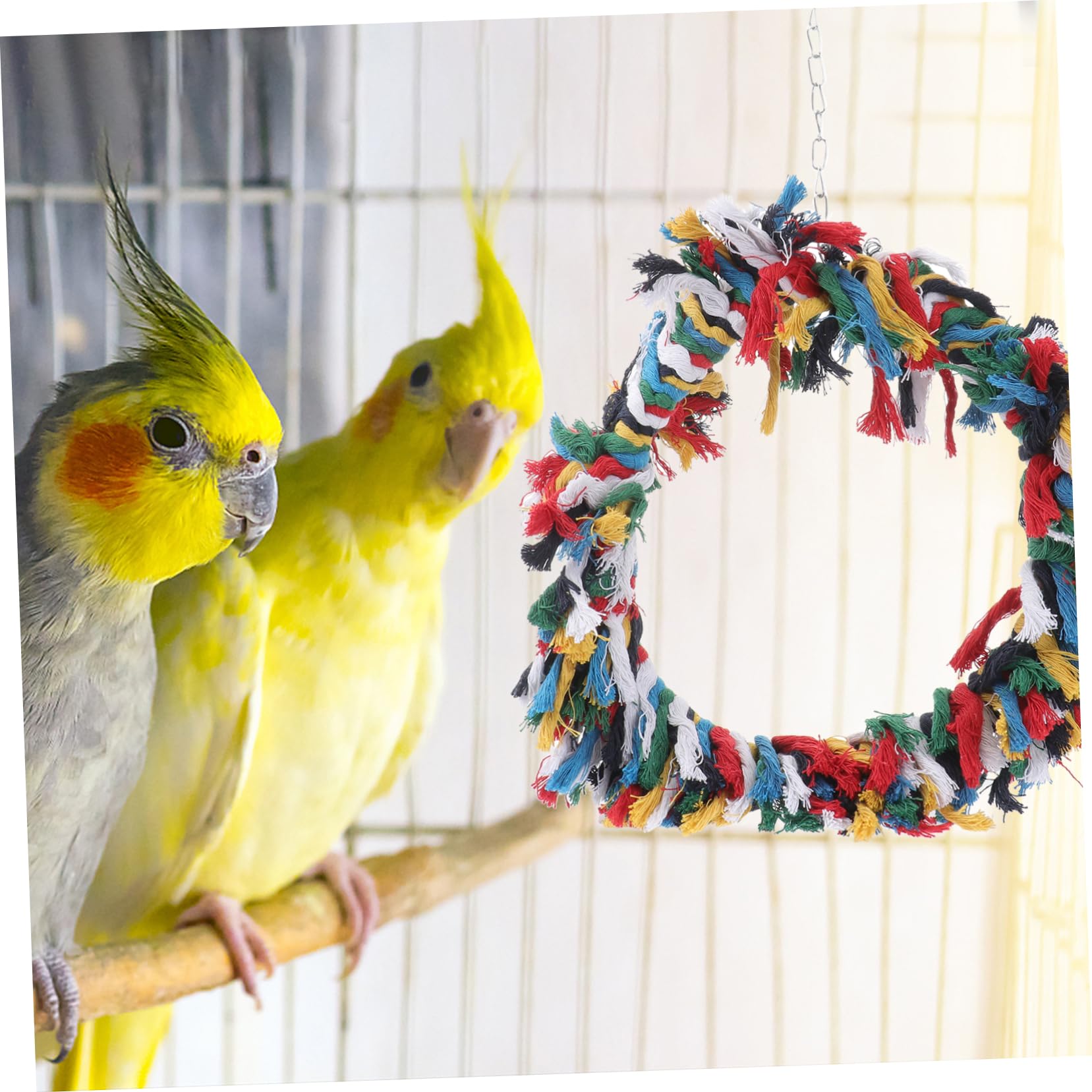 Sosoport 2pezzi Giocattolo Per Pappagalli Cotone Anello Snuggle Colorato Per Uccelli Accessorio Per Arrampicarsi e Preening Gioco Divertente Per Pappagalli Africani e Cockatoos Colori