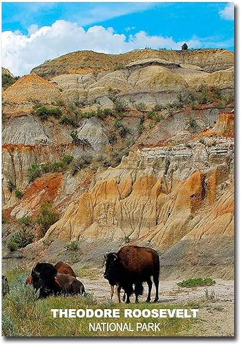Theodore Roosevelt National Park North Dakota-Bisonte imán para nevera tamaño 2.5" x 3.5"