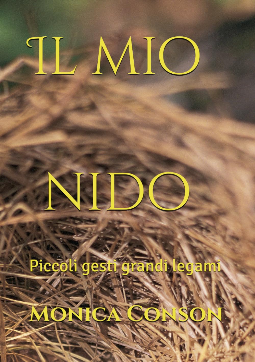il mio nido: Piccoli gesti grandi legami