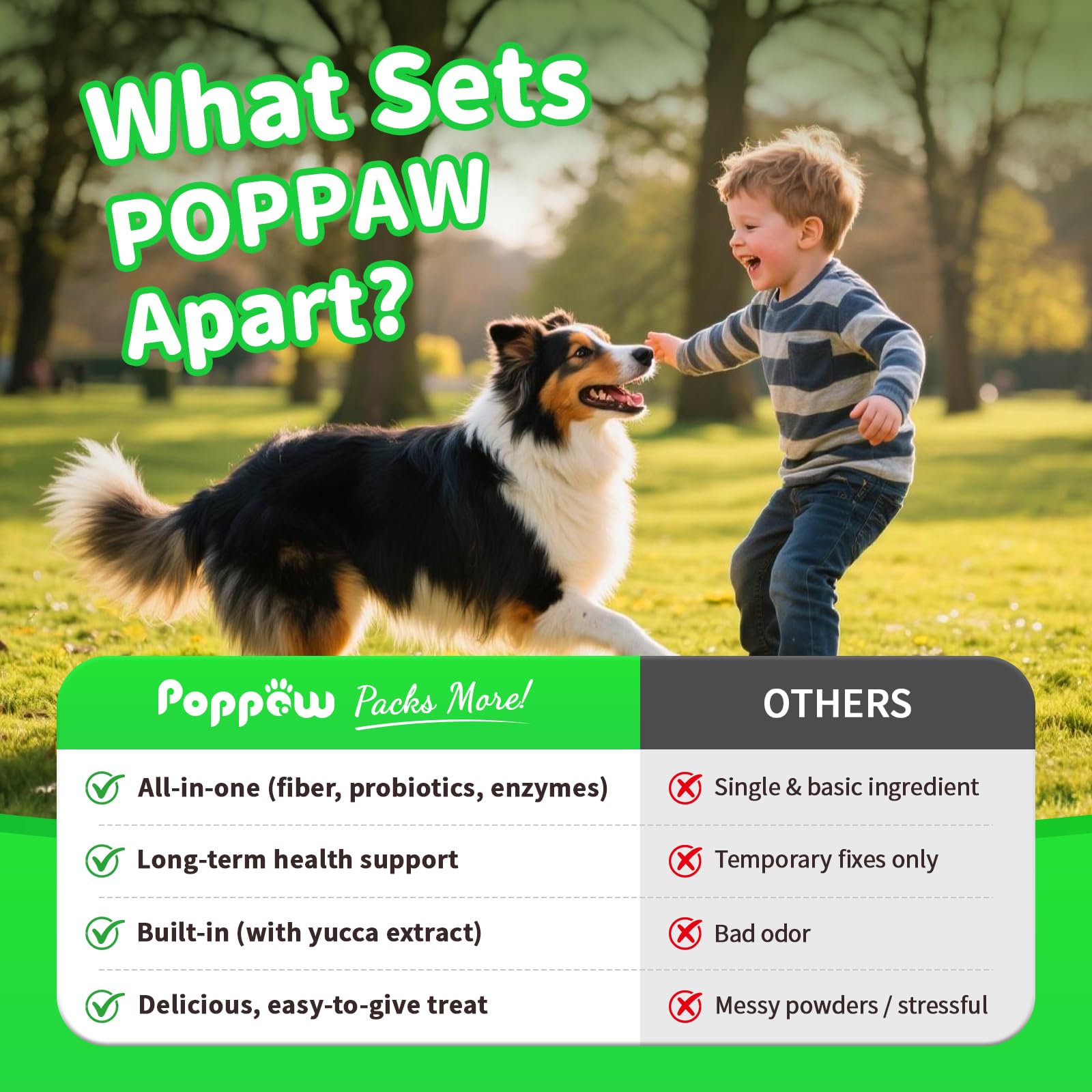 POPPAW Dog Probiotics & Digestive Enzymes – Pumpkin Fiber Chews for Gut Health, Diarrhea & Upset Stomach Relief, Gas & Stool Support, Beef Flavor Soft Chews – 90 Count - image 6
