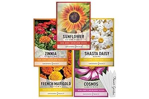 Garden Essentials: A Vibrant Tapestry of Five Flower Seeds for Your Garden Canvas