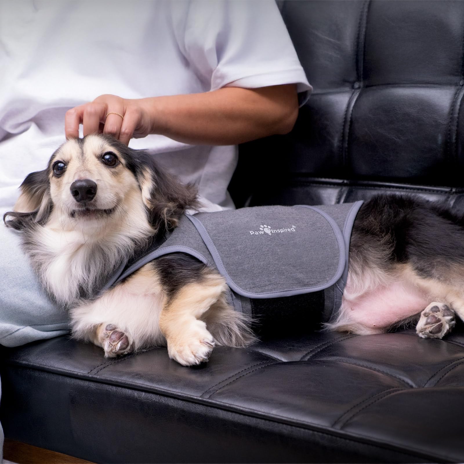 Paw Inspired Chaleco de ansiedad para perros, chaqueta de trueno con peso calmante para perros, chaleco de compresión calmante para tormentas eléctricas, fuegos artificiales, viajes, ansiedad por
