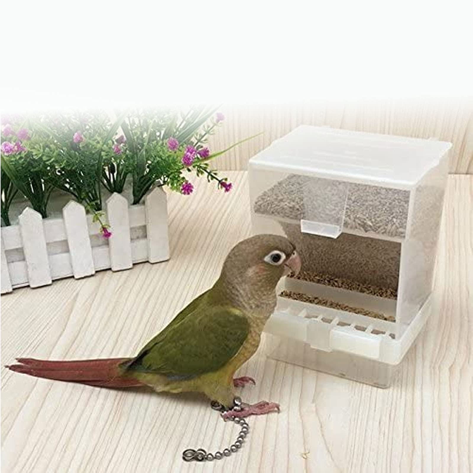 Mangiatoia Automatica Per Uccelli Jortmrd | In Acrilico Trasparente, 18,5x8,5x7,5cm | Per Pappagalli, Canarini E Altri