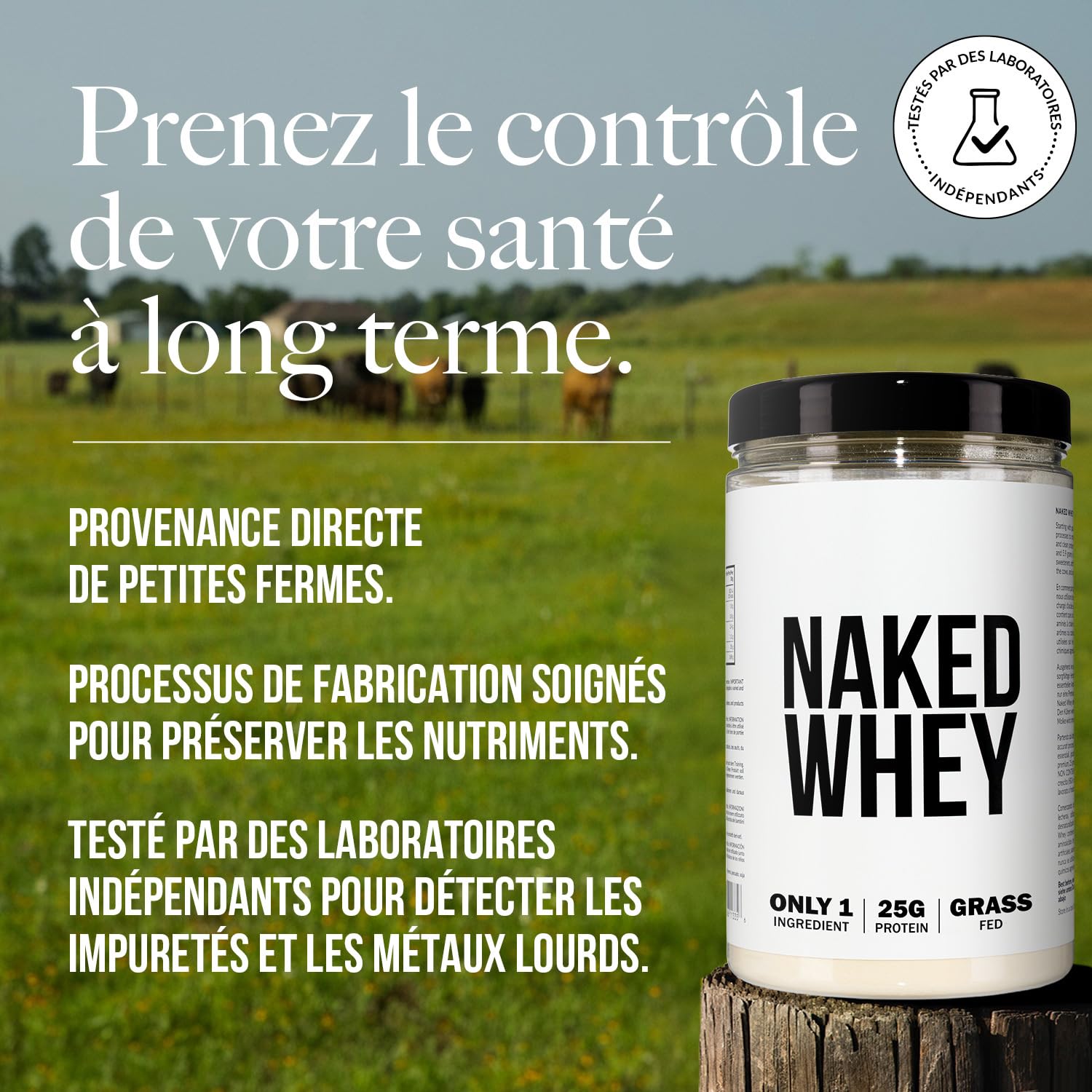 Naked Whey Protein, Seulement 1 ingrédient, Protéine en Poudre, Grass Fed, Sans Gluten, Sans Soja, Sans OGM, 25g de Protéine et 6g de BCAAs par mesure, Sans saveur, 12 Portions, 450g