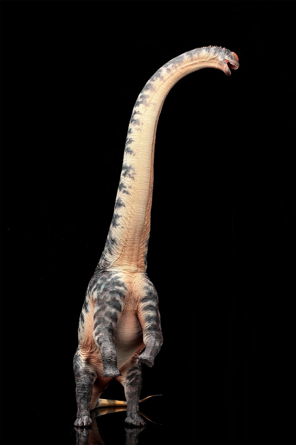 1:35 Scale Sauroposeidon Model Dinosaur Figure Decor (Blue)