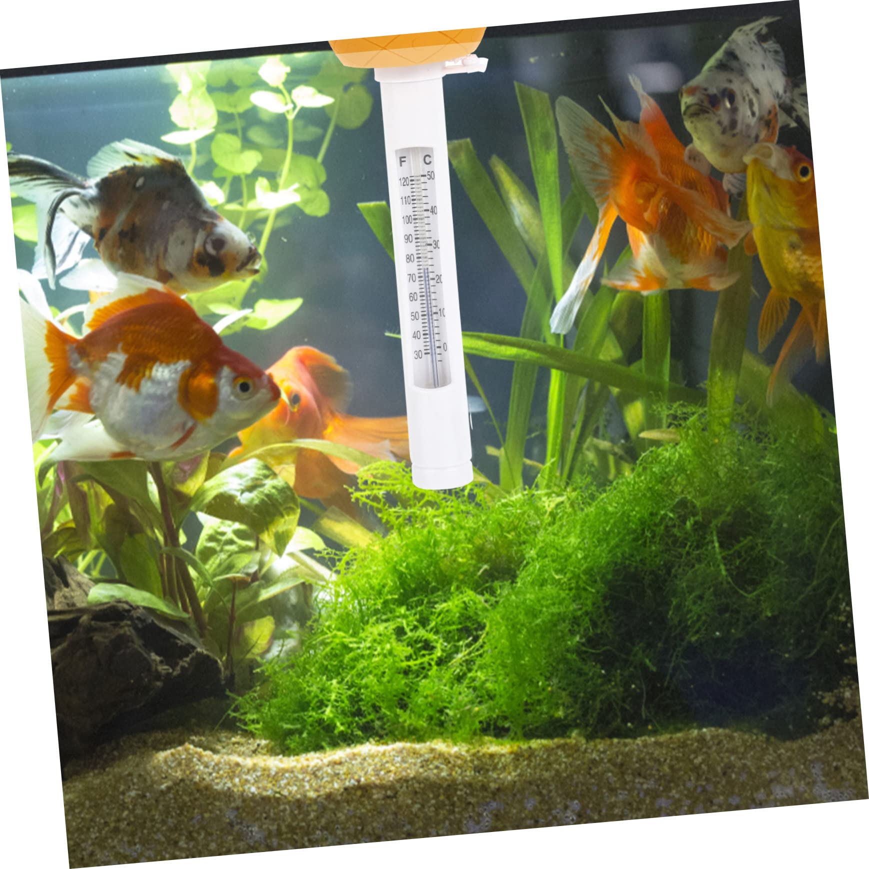 2 Pièces Thermomètre Flottant de Ananas Mesure Précise de Température pour Étang Aquarium Thermomètre Étanche