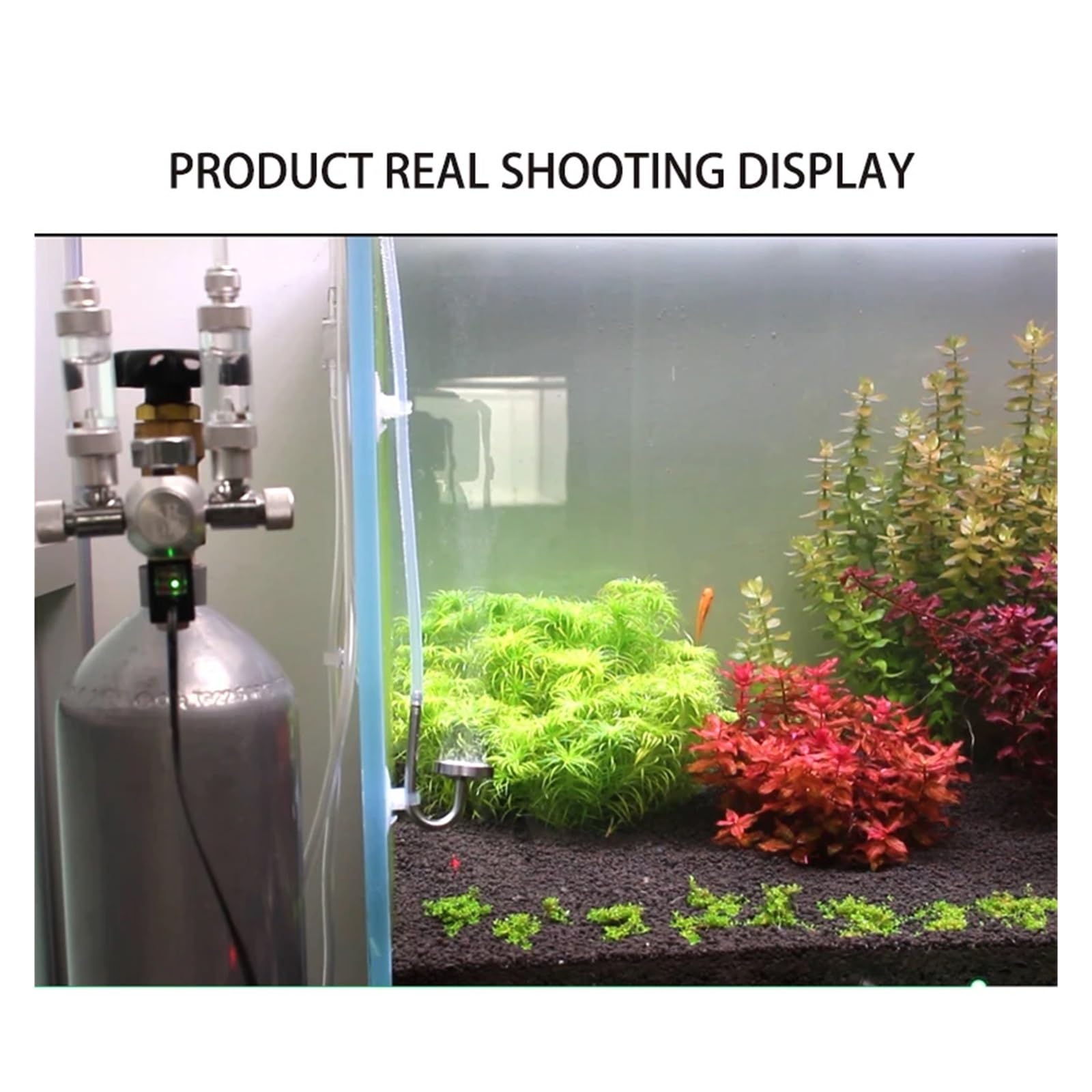 Válvula Reductora de co2 DIY for Acuario, medidor Burbujas Doble Salida, Control Tanque, válvula reguladora(G3-4)