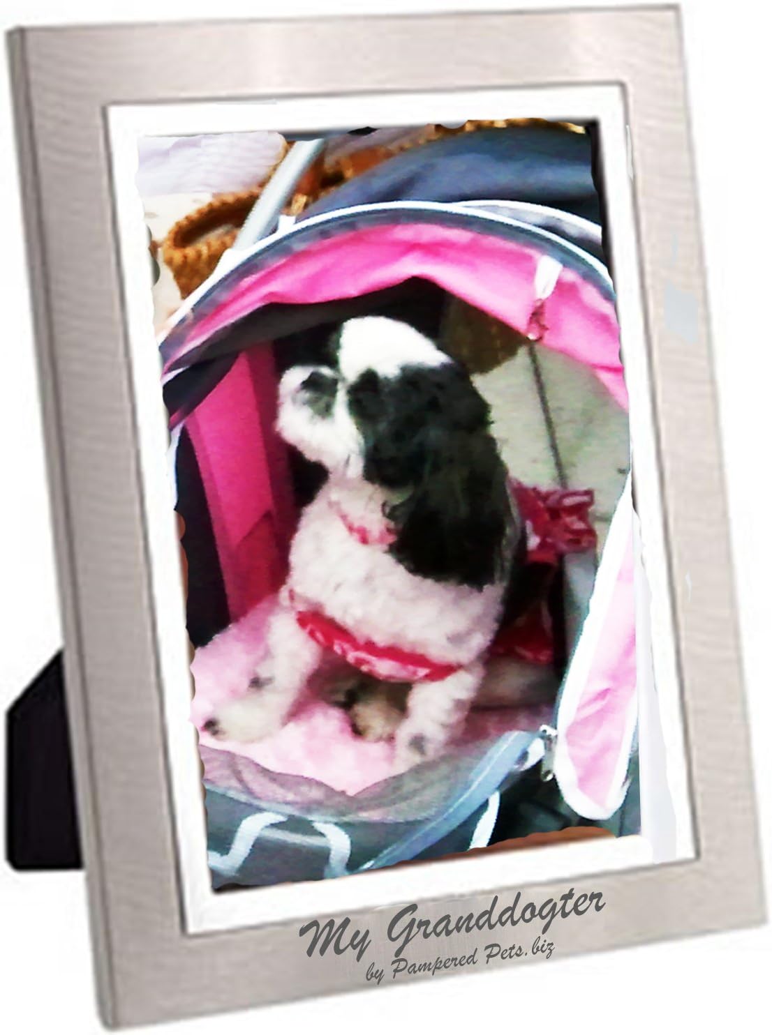 Pampered Pets "My Granddogter Two-Tone Brushed Silver Finished Metal Vertical Photo Frame, Laser Engraved Logo, Black Velvet Easel Back, Holds a 4 by 6-Inch Photo