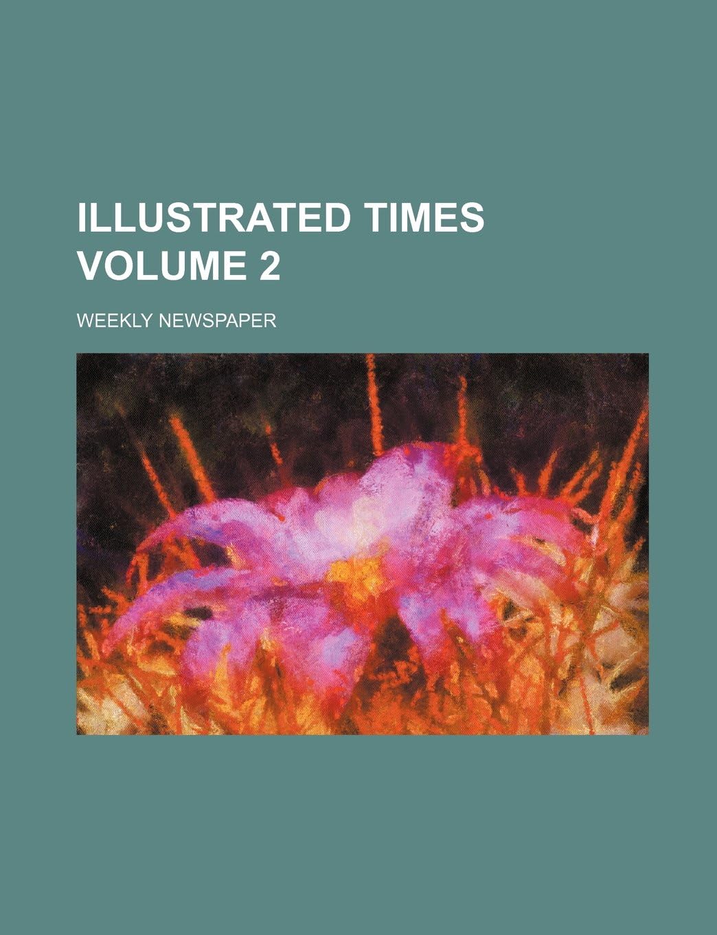 Illustrated Times Volume 2; Weekly Newspaper