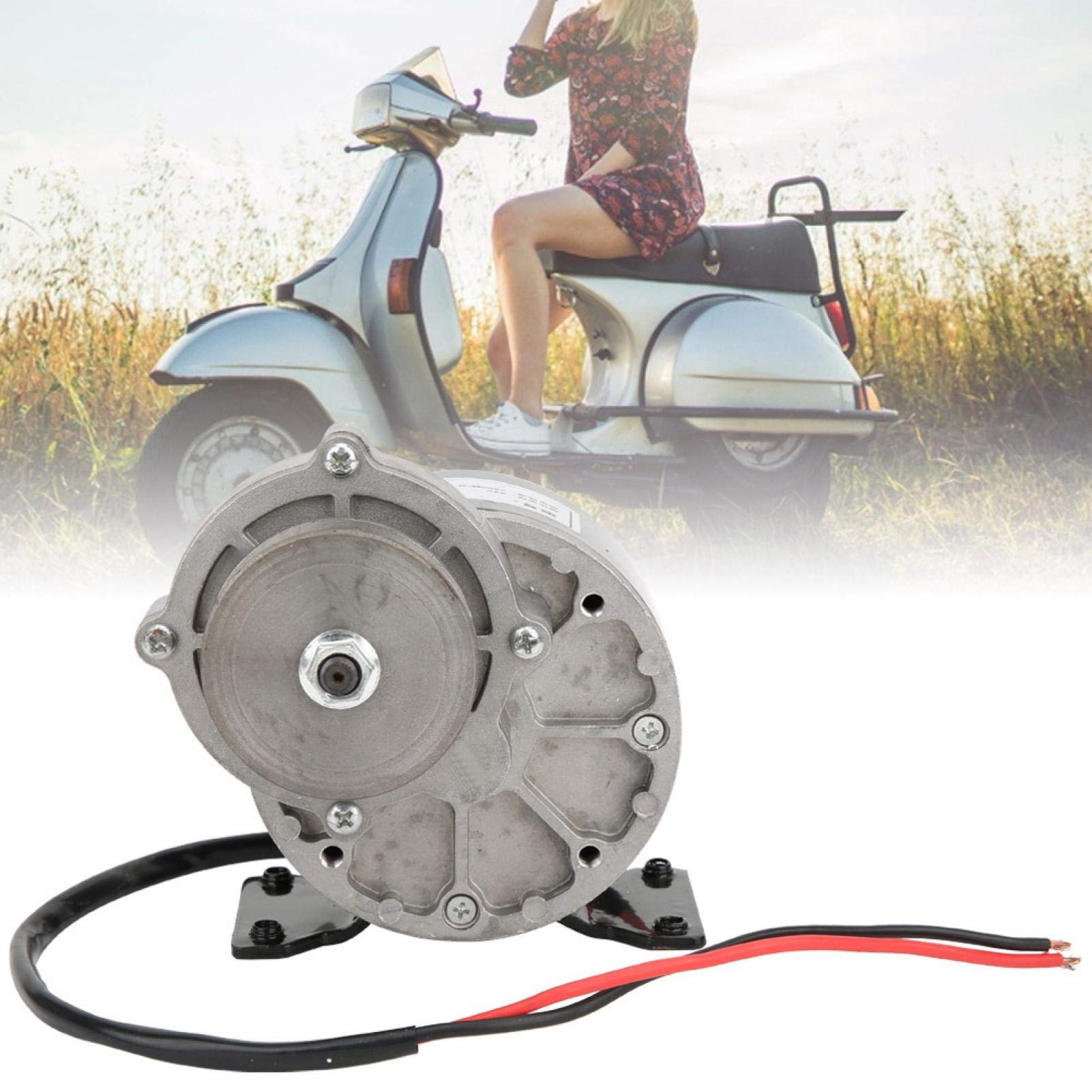 Poulie à Courroie 250W Couples élevés 24V Moteur à Engrenages Moteur en métal Stable pour vélo électrique