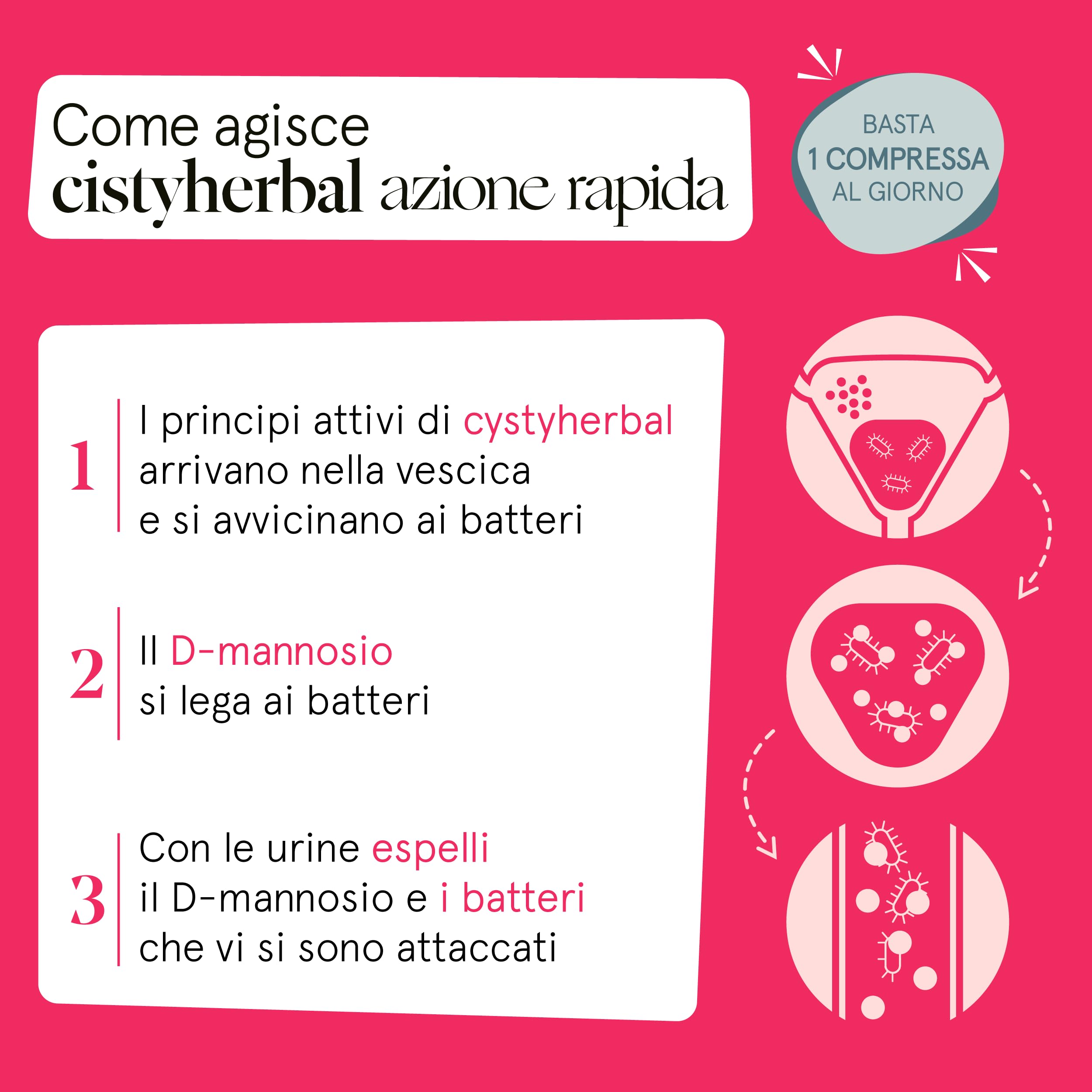 Cistyherbal, Integratore per Cistite Acuta, Candida e Infezioni delle Vie Urinarie| Contiene D mannosio Puro e Mirtillo Rosso ad Alto Dosaggio | Formula Studiata dai Migliori Urologi | Vitaminact