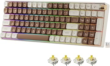 ROYALAXE X ProtoArc R100 Wireless Mechanical Keyboard, Hot Swappable Wired/2.4G Wireless/Bluetooth Keyboard with RGB Light for Windows & Mac, PBT Keycaps, Gateron G Pro Yellow Switch, Lava Brown