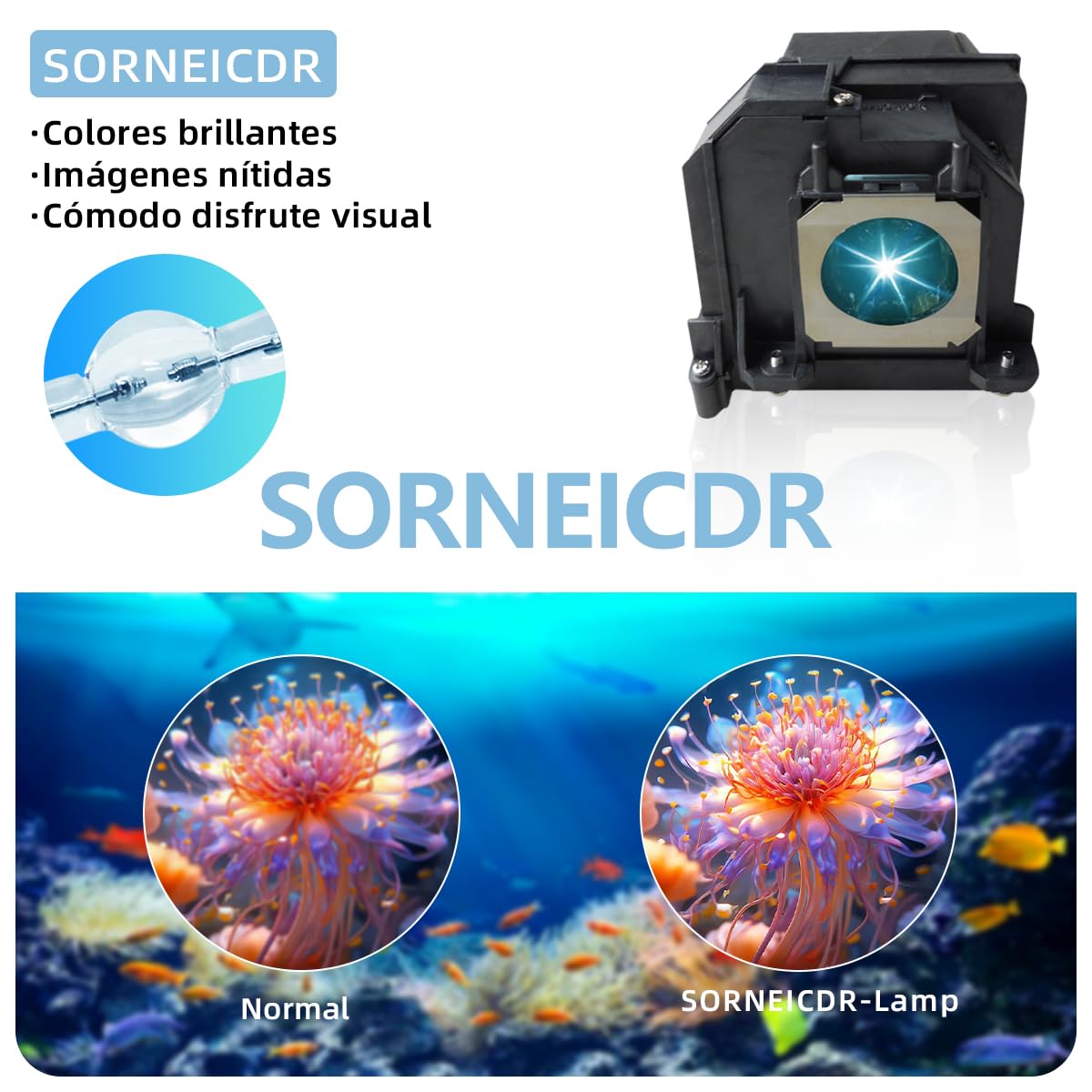 Lampe de Projecteur EL PLP71 compatible Epson eb-470 eb-475w eb-475we eb-475wi eb-475wie eb-480 eb-480e eb-485w eb-485wi eb-485we eb-1400wi eb-1410wi
