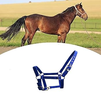 Amazon.co.jp: huaCCG 乗馬用品 無口 曳き手 セット ホルター
