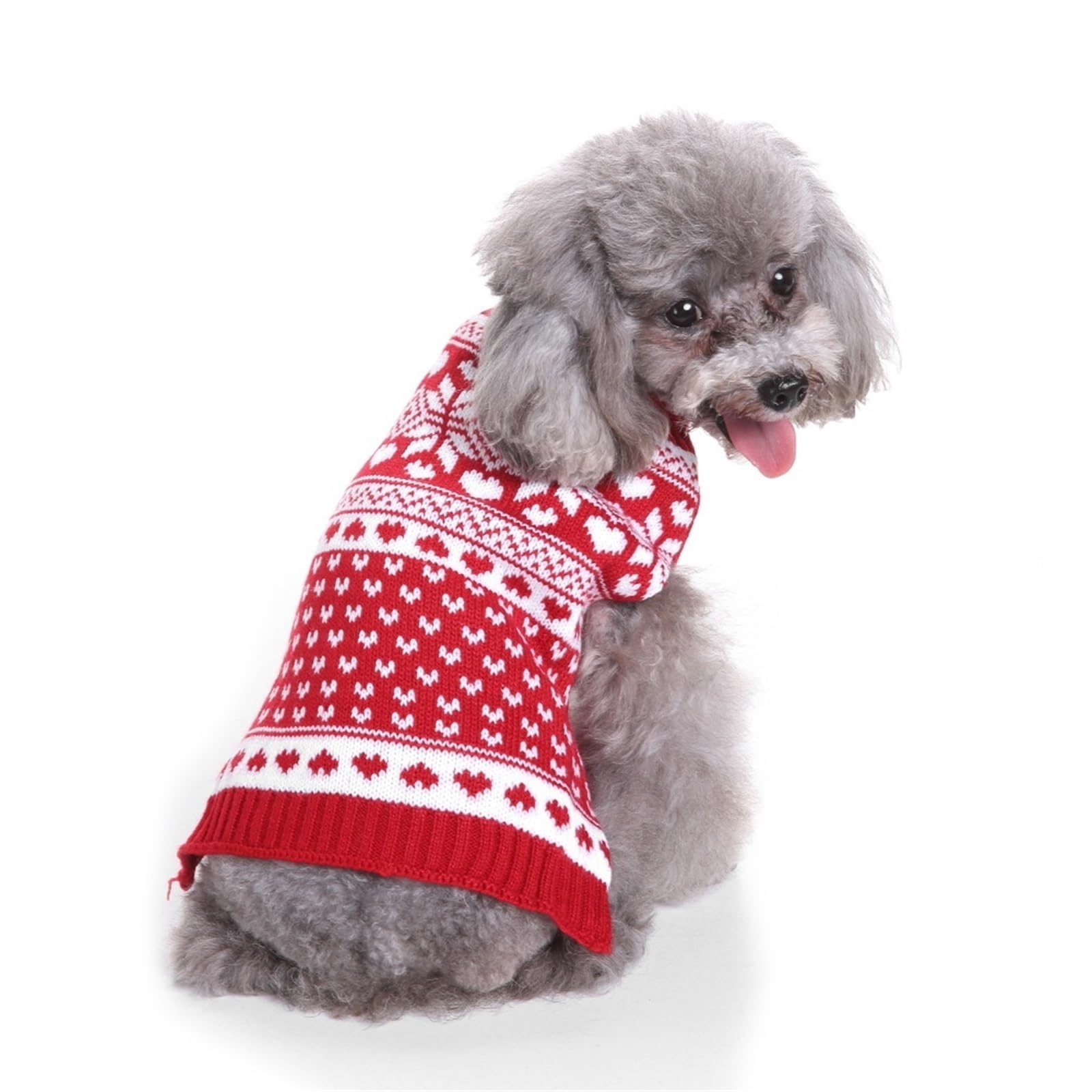 Pull de Noël en tricot pour chien pour les photos de famille