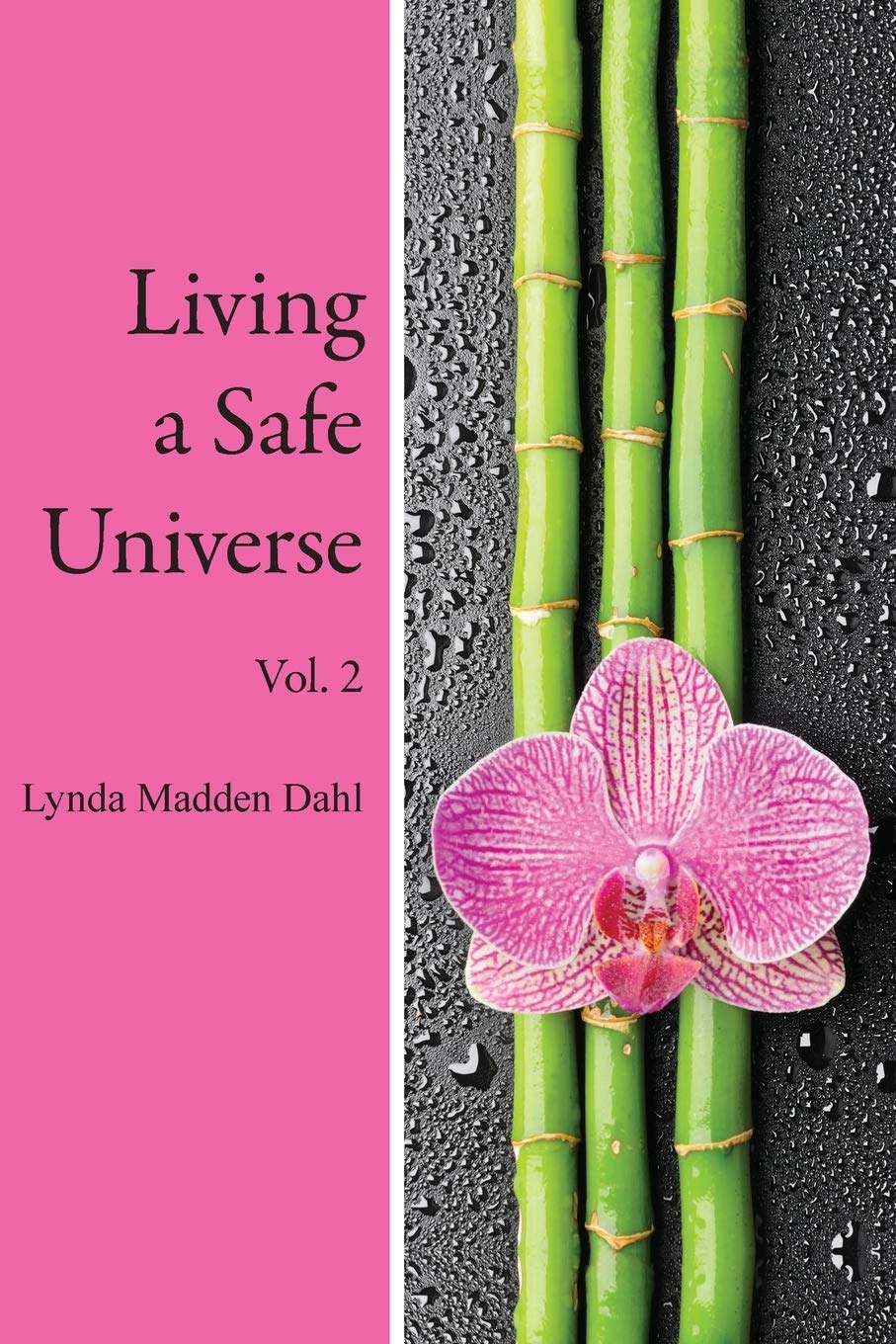 Living a Safe Universe, Vol. 2: A Book for Seth Readers: Volume 2