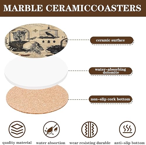 Miniatura 3 de Whaline 6 posavasos de Halloween con soporte, vintage, búho, cuervo, cráneo, cerámica, posavasos absorbentes para el hogar, cocina, fiesta,