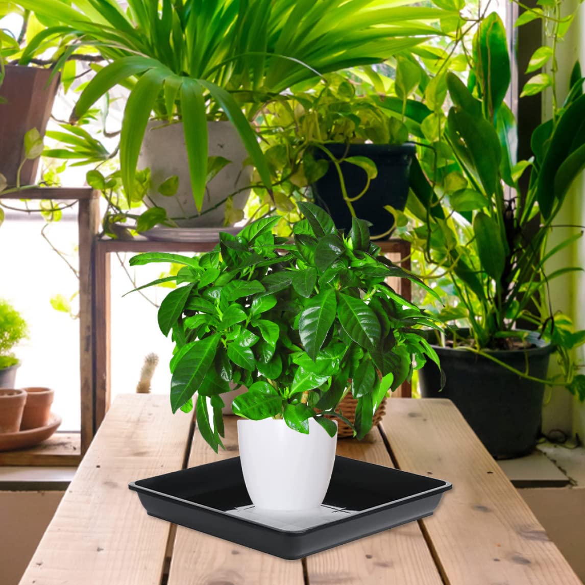 Soucoupe Pour Pots De Fleurs En Résine - Tailles S à XL, Beige Ou Jaune Foncé - Jardin Et Intérieur