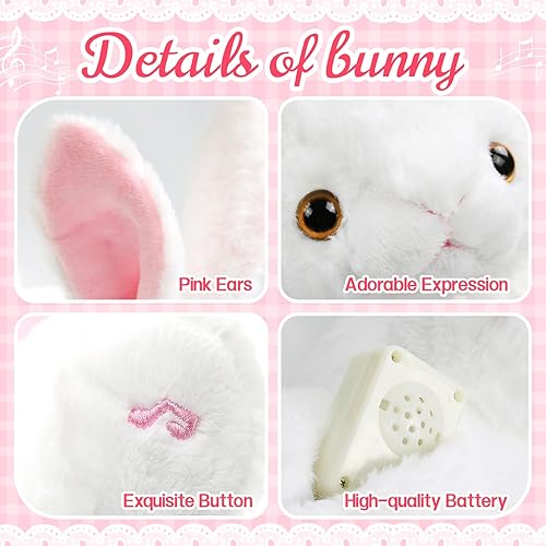 Miniatura 2 de SpecialYou Schnauzer - Juguete de peluche con luz musical de 10 pulgadas con luces nocturnas, canciones de cuna, cumpleaños para niños pequeños