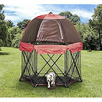 boxers for rescue near me