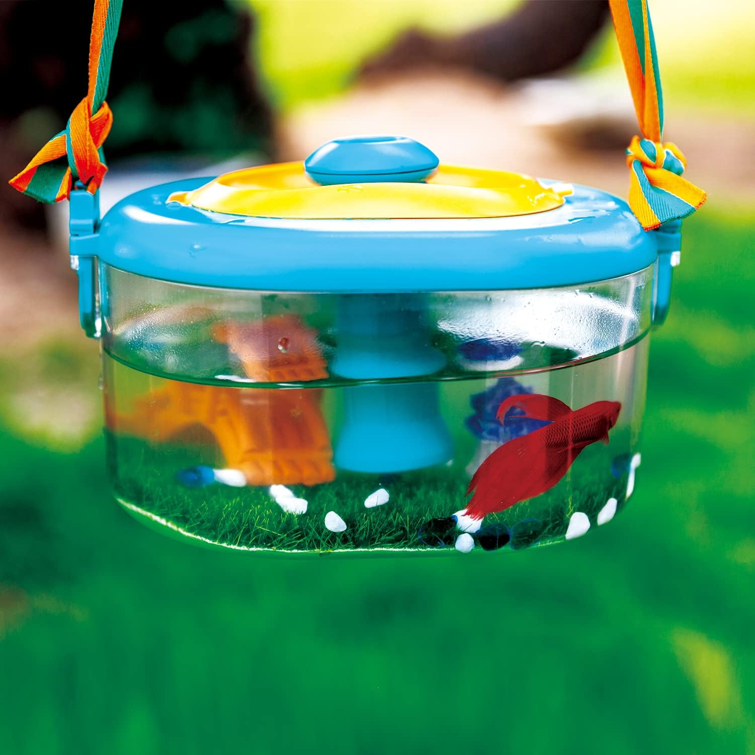 BOLOTREE Toy Bug Catcher Habitat Critter Microscope Case Viewer Explorer Collection Fun Science Educational Playset Kit Tool : Toys & Games