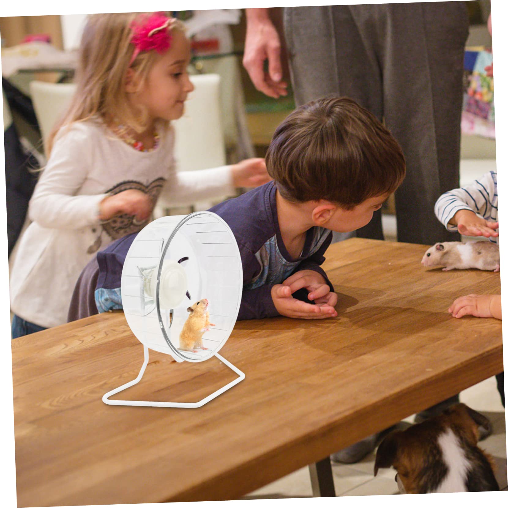 Ruota Silenziosa per Criceti Super Silenziosa Bianca | Plastica e Ferro, Forma a Ruota, per Piccoli Animali e Mouse, Accessorio da Esercizio Compatto