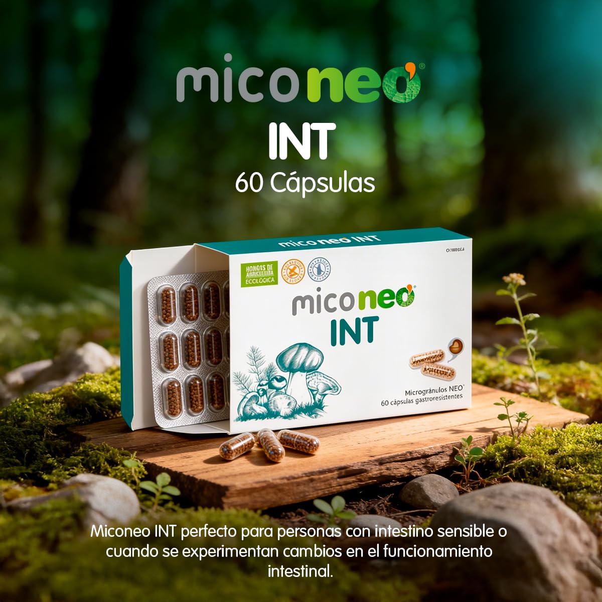 MICO NEO | INT | 60 Cápsulas | A Base de Achicoria, Shiitake, Melena de León y Seta de Cardo | Prebiótico Natural | Ayuda al Bienestar del Sistema Digestivo