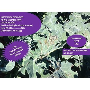 Compo 2062002011 Insecticida Orugas 60Gr, 17x13x7 cm: Amazon.es ...