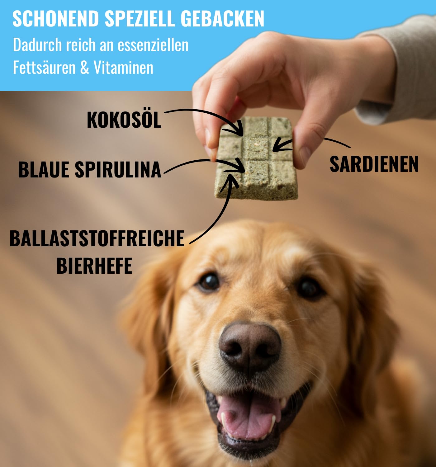 Fisch Leckerli Hundekuchen Riegelbox 6x300g mit Sardine, Brokkoli, Spirulina, Kokosöl & Bierhefe - Proteinreich, glutenfrei & ofengebacken - Für Fell, Haut & Immunsystem von RiNa leckerer Snack Hunde
