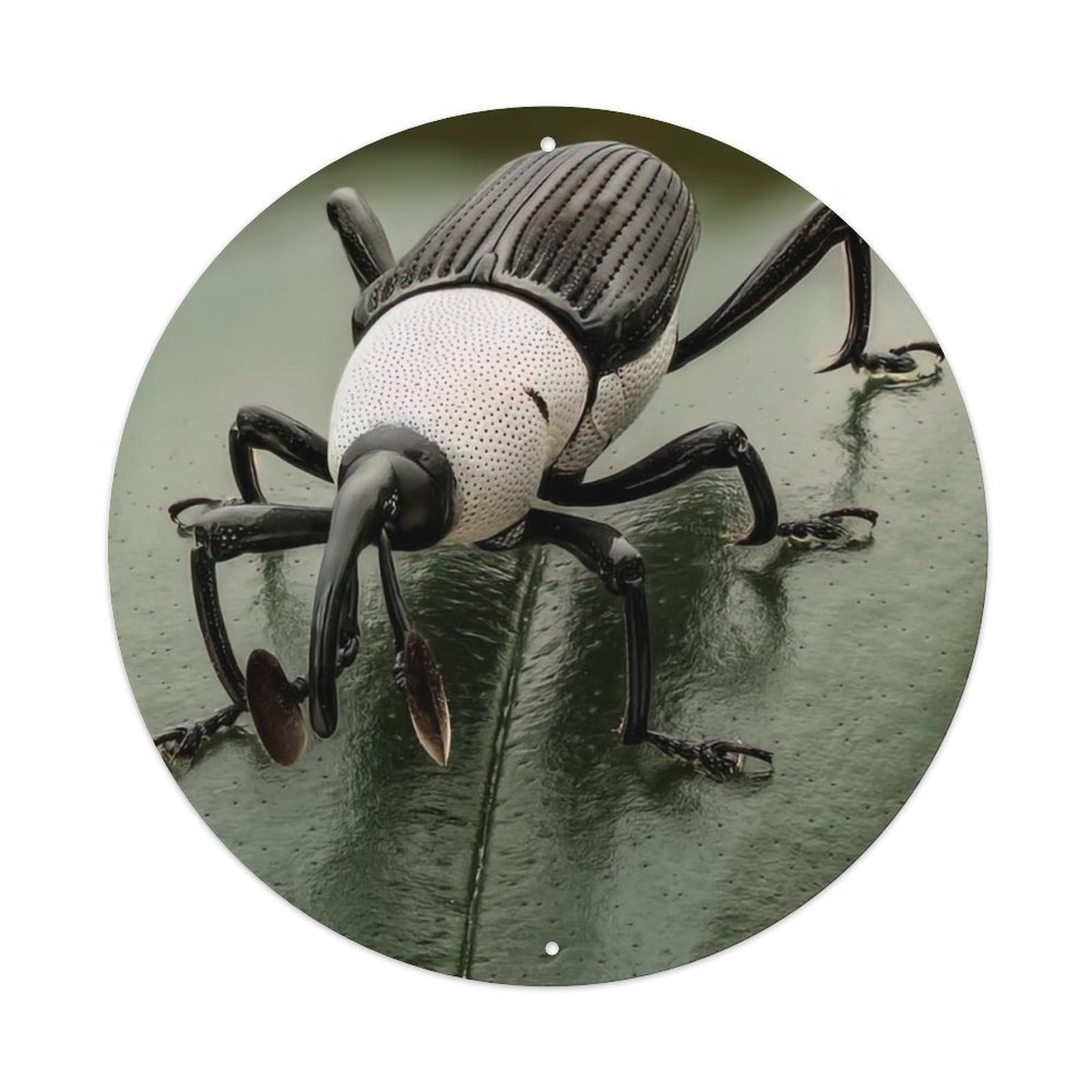 Insect Weevil Vintage Metal Tin Sign Plaque Wall Decor for Cafe, Club Bar, Office, Garden Metal Poster 8x8Inch