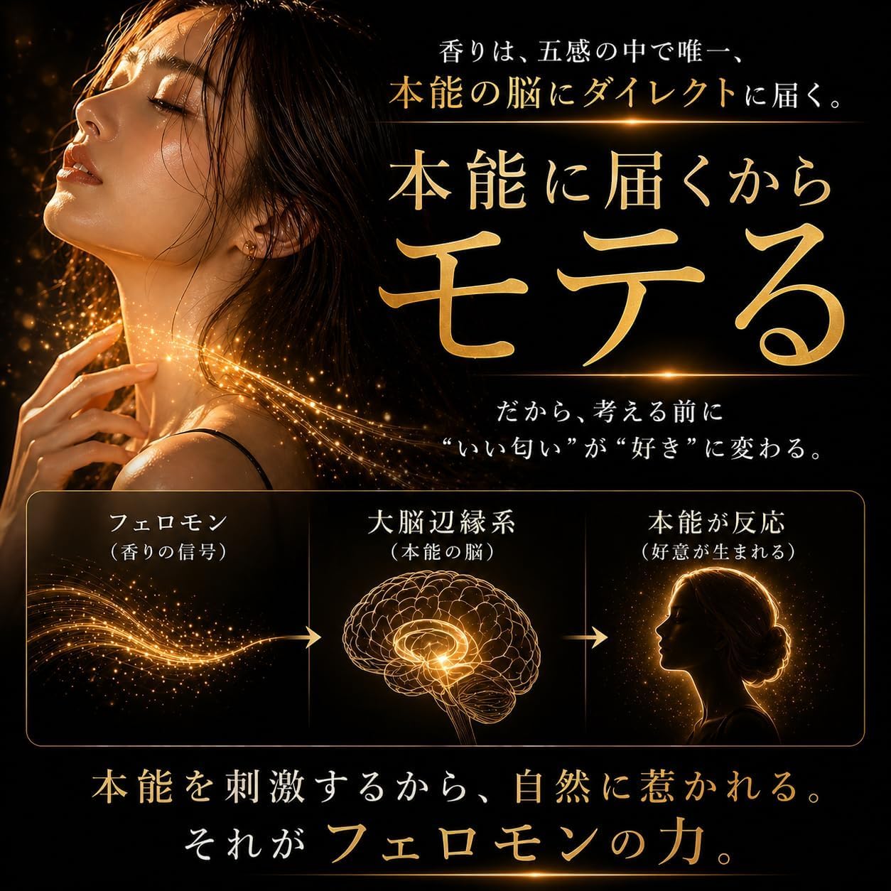 Amazon.co.jp: MAGNA(マギナ): PERFUME