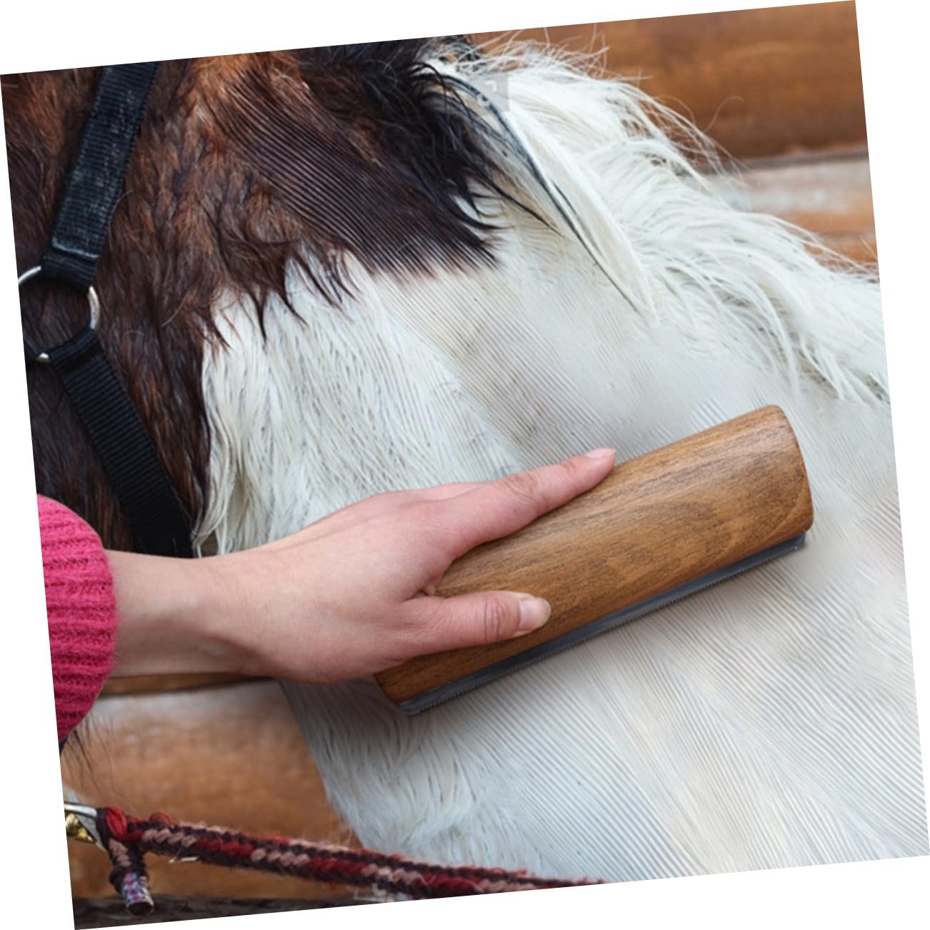 SHINEOFI Spazzola per Cavalli in Legno da 20cm Raschietto, Facile da Usare per Pulizia e Toelettatura del Corpo
