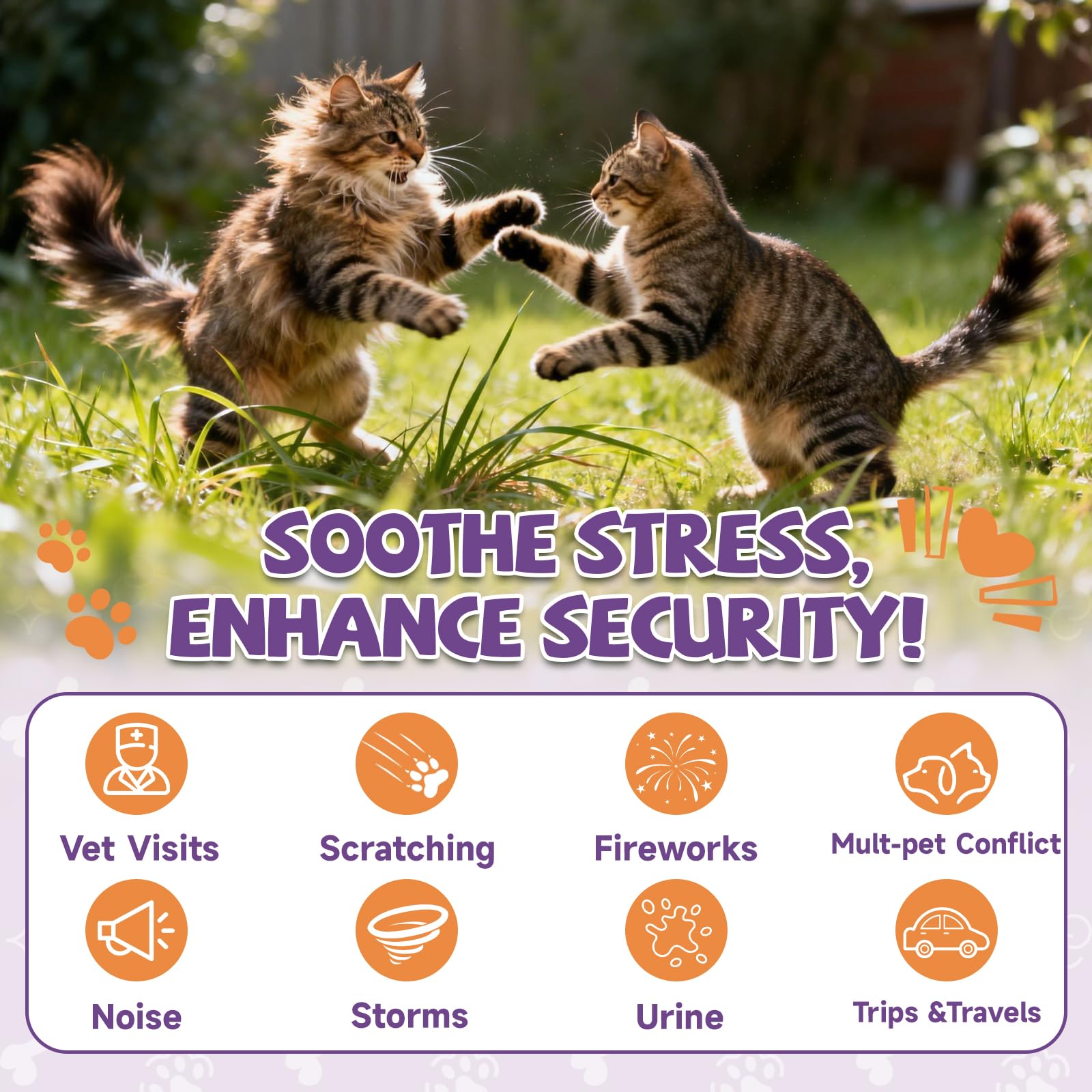Katzen Beruhigungs spray, Stress Aggression Angst Kämpfe Miauen Umzug 60ML | Reisen, Beruhigungs Katzen spray felinen Pheromonen, Sprüh es auf die Katze Pheromonen Spray