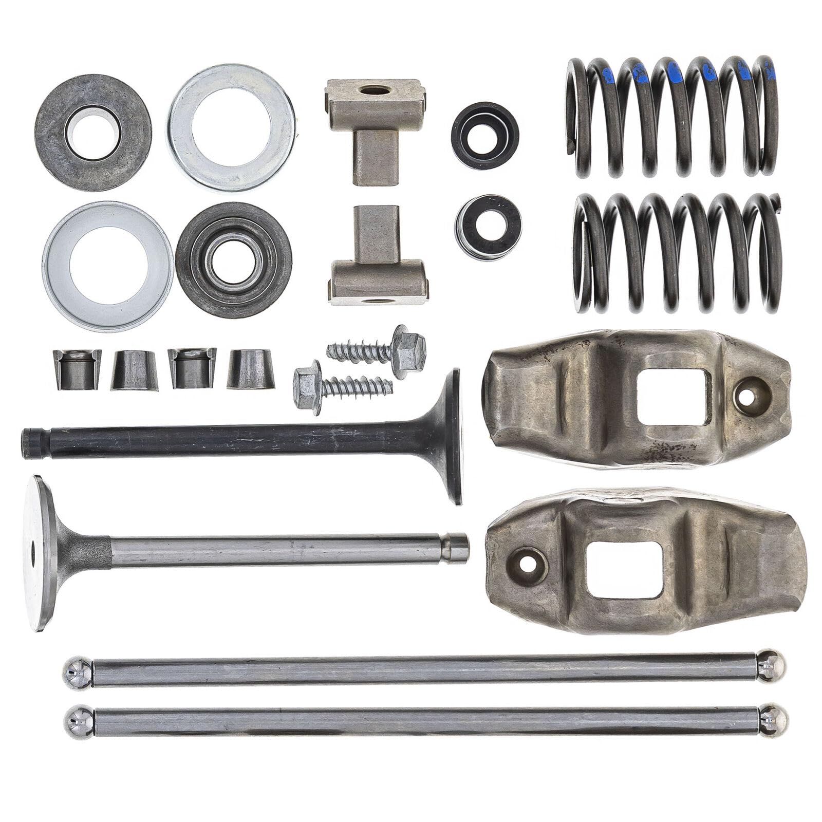 Amazon.com: 24-818-01-S #1 Cylinder Head Complete Kit Part