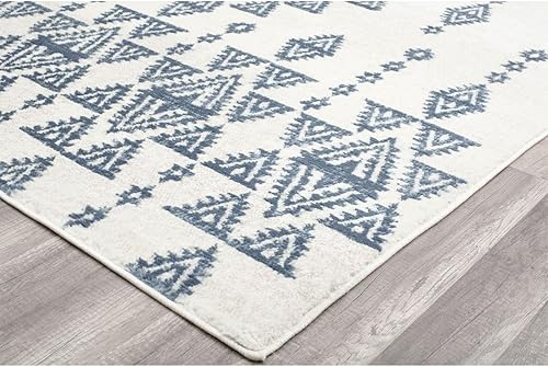 Rugs America Gallagher Collection GL50A Royal Nova - Alfombra vintage de transición de 8 x 10 pies