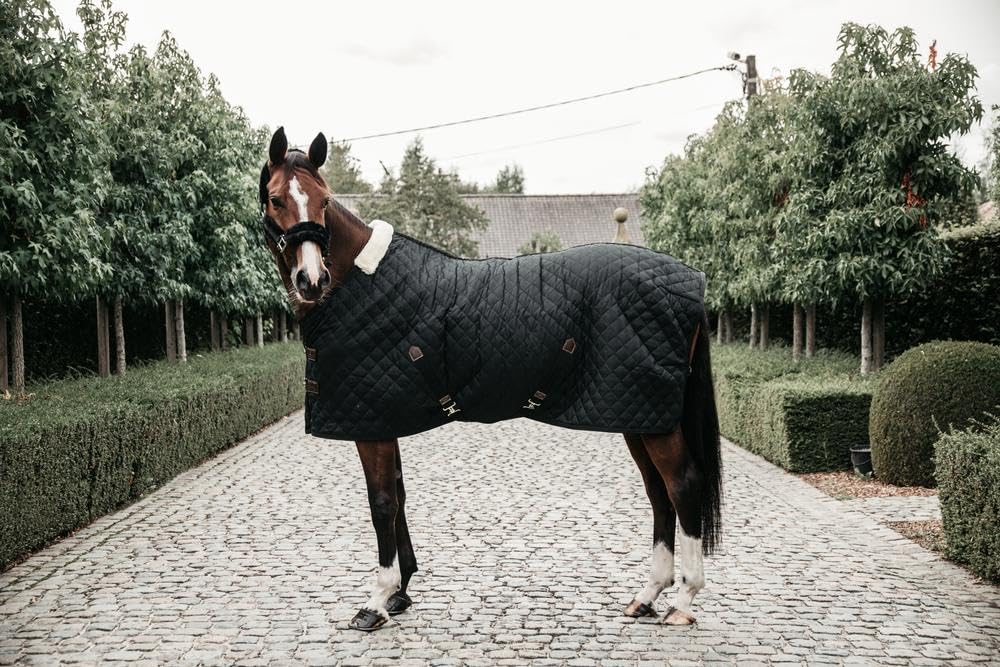 Kentucky - Stalldecke - 600D - 145 cm / 6'6 - Vegane Wolle - Schwarz