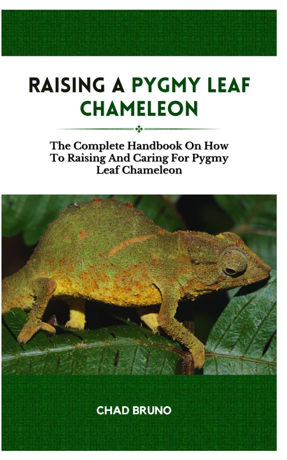 RAISING A PYGMY LEAF CHAMELEON: The Complete Handbook On How To Raising And Caring For Pygmy Leaf Chameleon