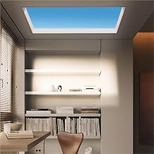Embedded Smart Clear Sky Light Blue Sky Light, Kitchen Bathroom Entrance Light, Natural Light Blue Sky Light, Sky Sunlight Light for Living Room Office Study Bathroom600 * 600mm
